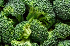 Broccoli